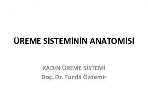 REME SSTEMNN ANATOMS KADIN REME SSTEM Do Dr