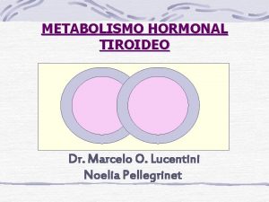 METABOLISMO HORMONAL TIROIDEO Dr Marcelo O Lucentini Noelia