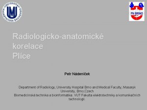 Radiologickoanatomick korelace Plce Petr Ndenek Department of Radiology