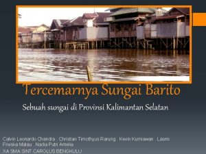 Tercemarnya Sungai Barito Sebuah sungai di Provinsi Kalimantan