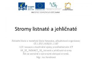 Stromy listnat a jehlinat Zkladn kola a matesk