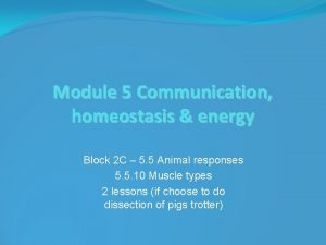 Module 5 Communication homeostasis energy Block 2 C