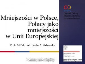 Mniejszoci w Polsce Polacy jako mniejszoci w Unii