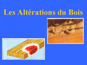 Les Altrations du Bois 1 Champignons 2 Insectes