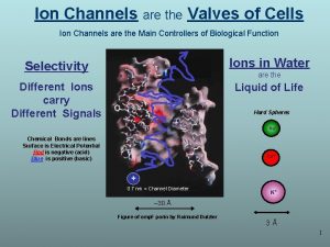 Ion Channels are the Valves of Cells Ion