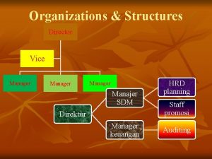 Organizations Structures Director Vice Manager Manajer SDM Direktur