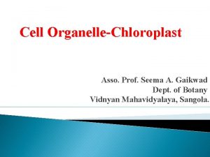 Cell OrganelleChloroplast Asso Prof Seema A Gaikwad Dept