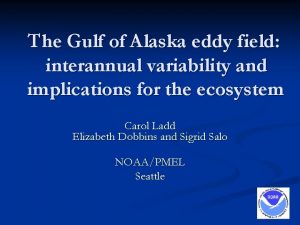 The Gulf of Alaska eddy field interannual variability