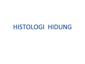 HISTOLOGI HIDUNG HIDUNG Dibentuk oleh kavum nasi 2