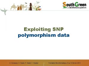 Exploiting SNP polymorphism data A Dereeper G Sarah