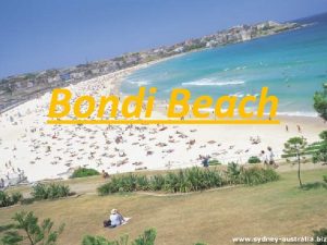 Bondi beach facts