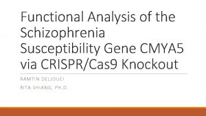 Functional Analysis of the Schizophrenia Susceptibility Gene CMYA