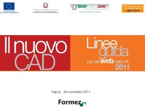 Napoli 24 novembre 2011 100 Il Nuovo CAD