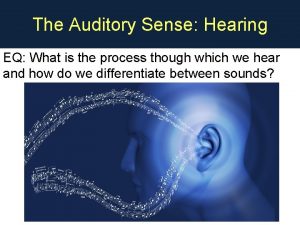 The Auditory Sense Hearing EQ What is the