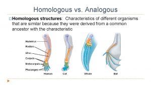 Homologous vs Analogous Homologous structures Characteristics of different