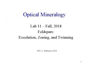 Optical Mineralogy Lab 11 Fall 2018 Feldspars Exsolution