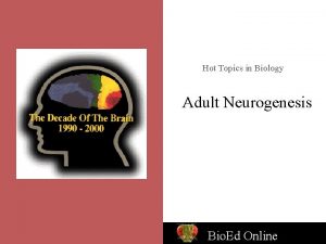 Hot Topics in Biology Adult Neurogenesis Do new