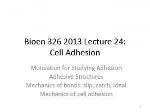 Bioen 326 2013 Lecture 24 Cell Adhesion Motivation