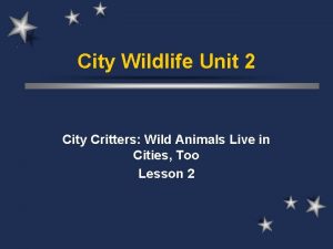 City Wildlife Unit 2 City Critters Wild Animals