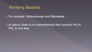 Nitrifying Bacteria For In example Nitrosomonas and Nitrobacter