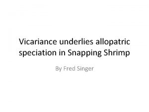 Vicariance underlies allopatric speciation in Snapping Shrimp By