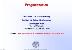 Fragmentation Univ Prof Dr Peter Brezany Institut fr