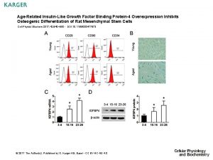 AgeRelated InsulinLike Growth Factor Binding Protein4 Overexpression Inhibits