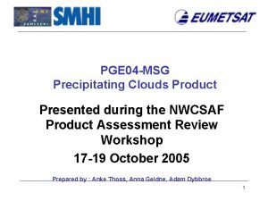 PGE 04 MSG Precipitating Clouds Product Presented during