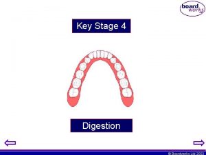 Key Stage 4 Digestion Boardworks Ltd 2003 Teachers