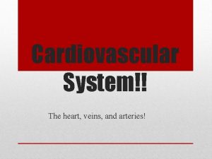 Cardiovascular System The heart veins and arteries Superior