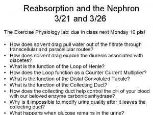 Reabsorption and the Nephron 321 and 326 The