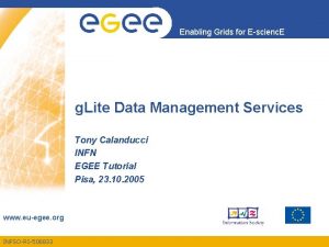 Enabling Grids for Escienc E g Lite Data