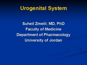 Urogenital System Suheil Zmeili MD Ph D Faculty