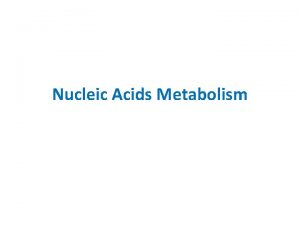 Nucleic Acids Metabolism Nitrogenous Bases Planar aromatic and