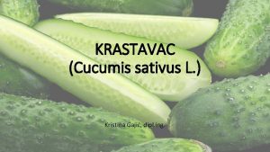 KRASTAVAC Cucumis sativus L Kristina Gaji dipl ing