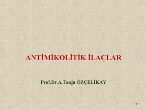 ANTMKOLTK LALAR Prof Dr A Tanju ZELKAY 1