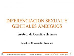 DIFERENCIACION SEXUAL Y GENITALES AMBIGUOS Instituto de Genetica