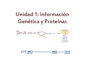 Unidad 1 Informacin Gentica y Protenas Qu es