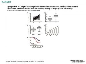 Upregulation of Long NonCoding RNA Small Nucleolar RNA