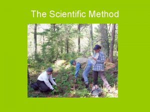 The Scientific Method Scientific Method An orderly step