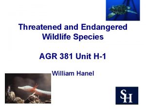 Threatened and Endangered Wildlife Species AGR 381 Unit