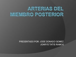 ARTERIAS DEL MIEMBRO POSTERIOR PRESENTADO POR JOSE DONADO