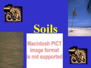 Soils Functions of Soil Anchor roots Aeration of