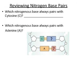 Reviewing Nitrogen Base Pairs Which nitrogenous base always