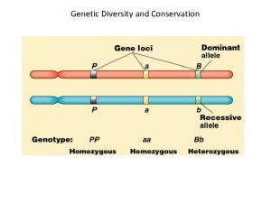 Genetic Diversity and Conservation Allele Frequencies The total