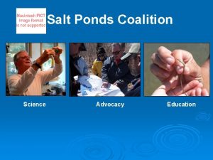 Salt Ponds Coalition Science Advocacy Education Salt Ponds