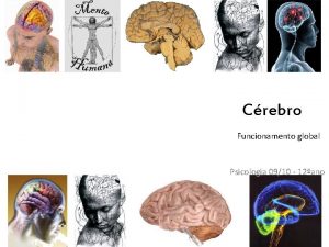 Funcionamento global psicologia Funcionamento global psicologia