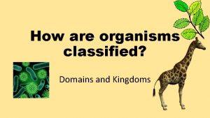 How are organisms classified Domains and Kingdoms Why