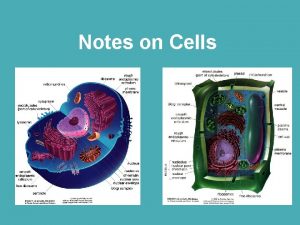 Notes on Cells Cell Theory 1 1665 Hooke