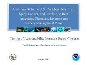 Amendments to the U S Caribbean Reef Fish